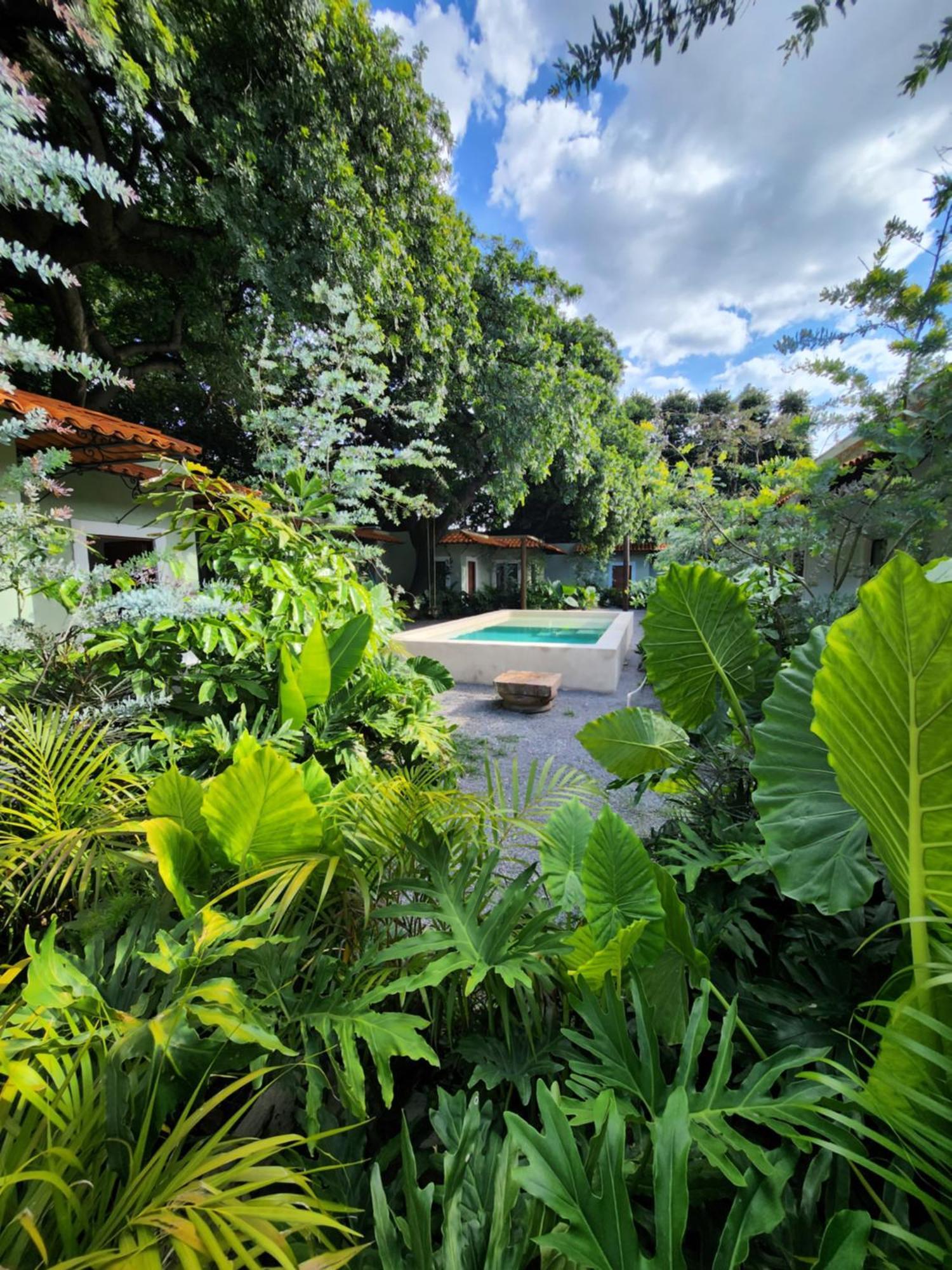 Hotel Boutique Villa Escondida, A Pasos De Lo Mejor En Tlaquepaque Zewnętrze zdjęcie