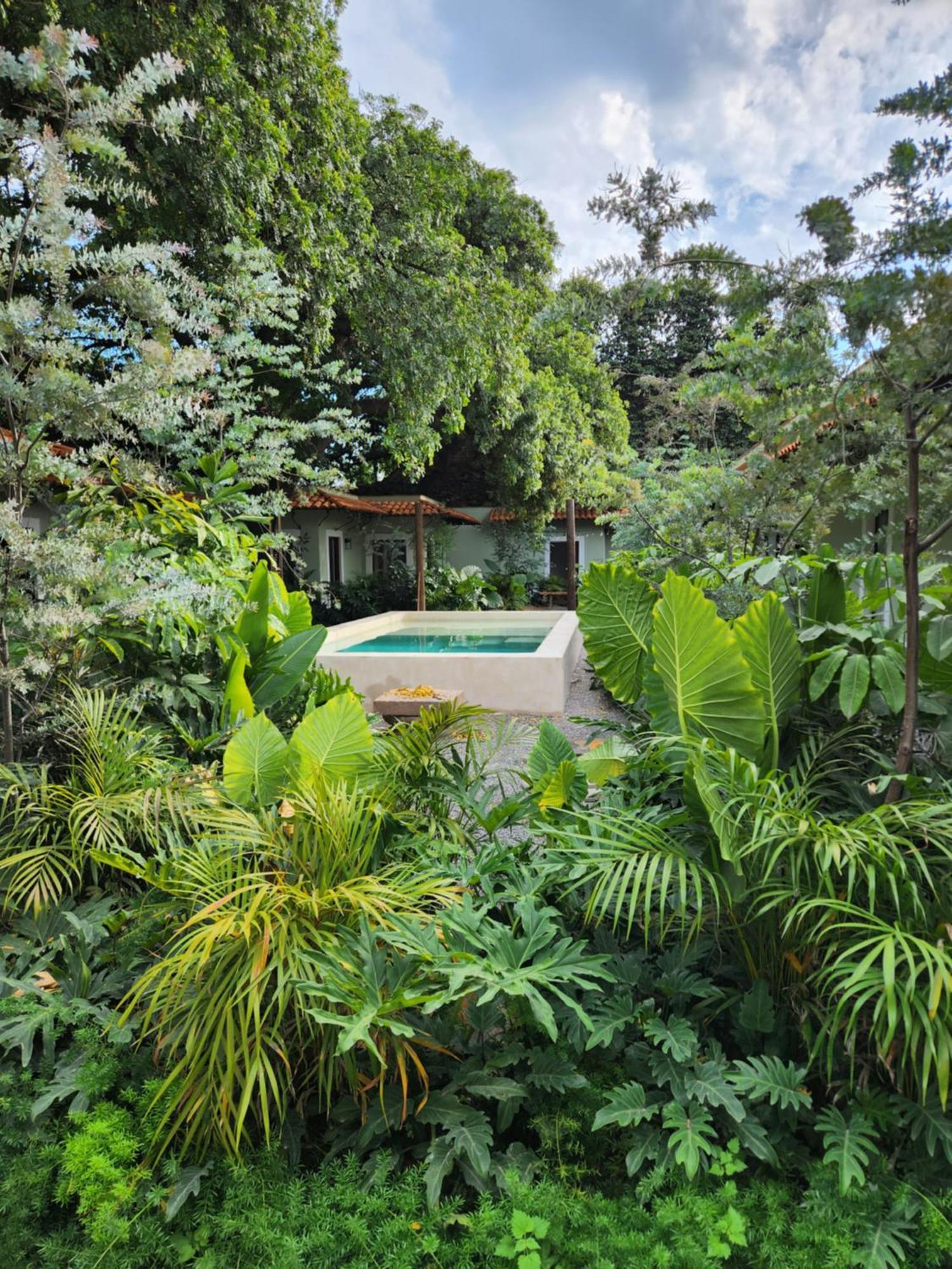 Hotel Boutique Villa Escondida, A Pasos De Lo Mejor En Tlaquepaque Zewnętrze zdjęcie